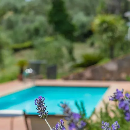 With Terrace And Pool Near * Lucca