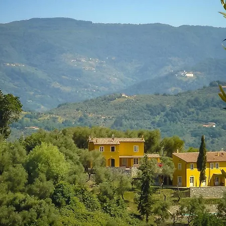 With Terrace And Pool Near *