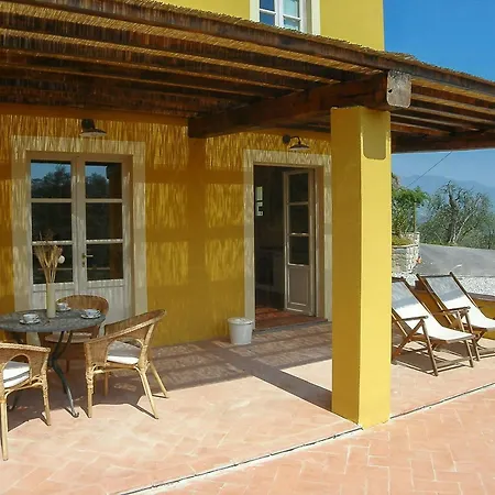 With Terrace And Pool Near